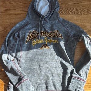Colosseum Gray Hoodie with Two-Tone Design and Stylish Text